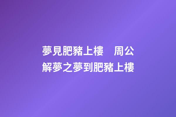 夢見肥豬上樓　周公解夢之夢到肥豬上樓